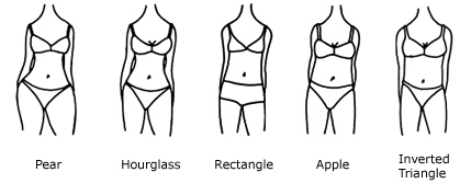 bodytypes2.jpg bodytypes2.jpg