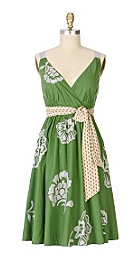 River of Grass Dress River of Grass Dress