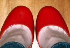 toes3.jpg