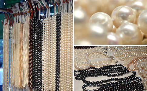 Shell Pearls Aplenty Shell Pearls Aplenty